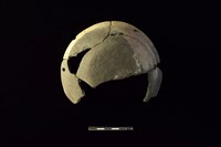 陶缽藏品圖，第2張